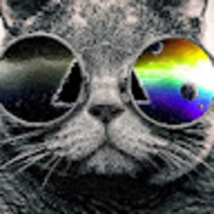 Meet your Posher, George